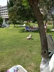 Mirage Park Resort-Ultra All Incl. - 36