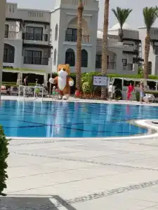 Steigenberger Alcazar - 94