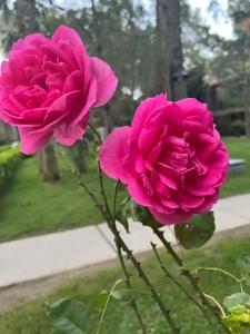 Kimeros Park Holiday Village - Ultra All Inc. Kids Concept - 67