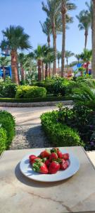 Hawaii Caesar Dreams Resort and Aqua Park - Families and Couples - 83