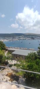 DIAMOND OF BODRUM - 47