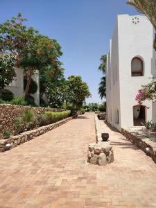 Domina Coral Bay Resort, Diving , Spa & Casino - 51