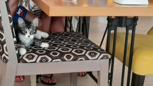 Bitez Garden Life - 89