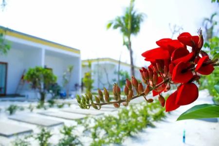 Long Set Resort - 12