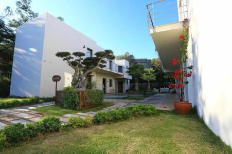 The LifeCo Bodrum Well-Being Detox Center and Vegan - 19