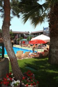 Delfi Spa & Wellness Center - 26