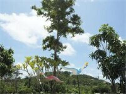 Chomview Resort - 59