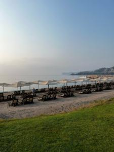 Sherwood Exclusive Kemer - Kids Concept - 65