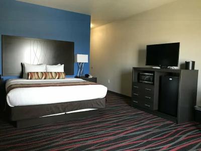 Best Western Plus Tech Medical Center Inn - 8