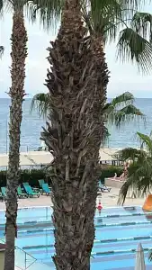 Crystal Flora Beach Resort - Ultimate All Inclusive - 17