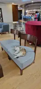 Ramada Plaza by Wyndham Antalya - 57