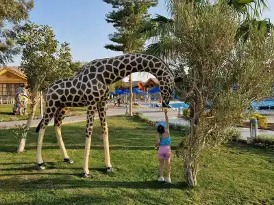 Pickalbatros Jungle Aqua Park - Neverland Hurghada - 13