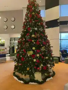 Novotel Sharjah Expo Centre - 26