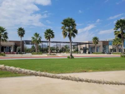 Clifton International - 93