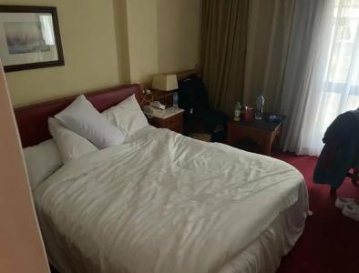 Golden Tulip Flamenco Cairo - 88