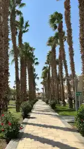 Pickalbatros Aqua Vista Resort - Hurghada - 9