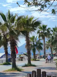 Kleopatra Atlas - Adults Only - 79