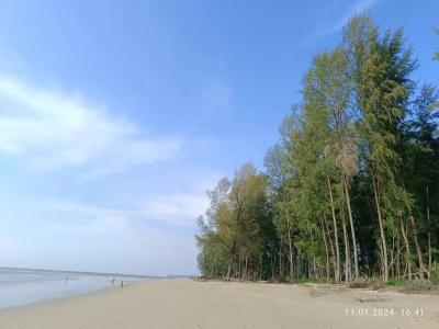 Pullman Khao Lak Resort - 5
