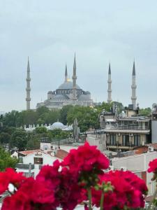 The And Sultanahmet- Special Category - 83