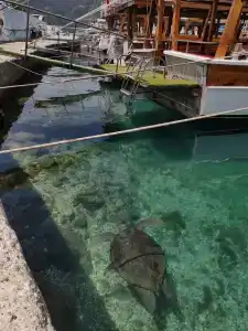 Andriake Beach Club Demre - 27