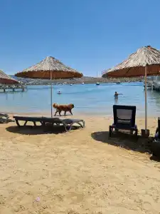 Otıum Park Ayaz Aqua Beach - 21