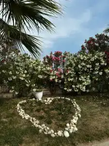 Selectum For Two Side - 23