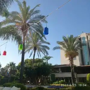 Sunis Elita Beach Resort & SPA - 69