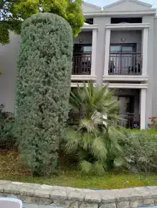 TUI Magic Life Masmavi - 48