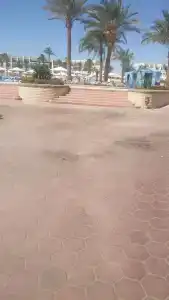 Pharaoh Azur Resort - 96