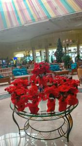 Ali Baba Palace -Families and Couples Only- - 52