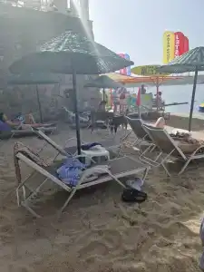 Royal Asarlik Beach - 63