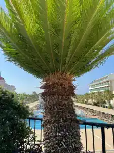 Crystal Waterworld Resort & Spa - Ultimate All Inclusive - 50