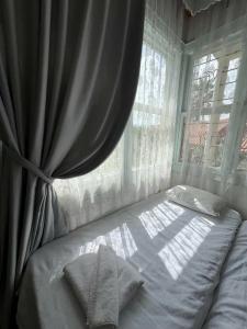 Villa Tulipan - 65