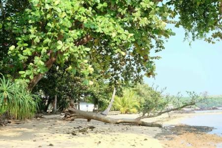 Plub Pla Koh Mak Retreat - 69