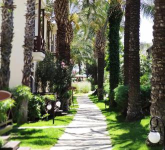 The LifeCo Bodrum Well-Being Detox Center and Vegan - 3