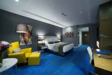 Radisson Blu, Kayseri - 49