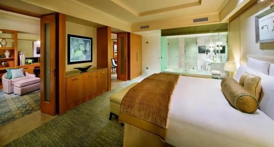 Ritz Carlton Residences DIFC Downtown Dubai - 22