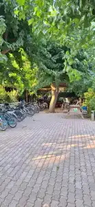 Caretta Caretta Pension - 66