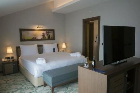 Radisson Blu, Ordu - 42