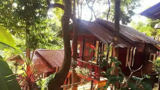 Phi Phi Green Hill Resort - 49