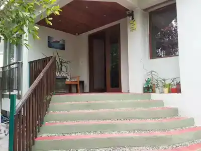 Caretta Caretta - 45