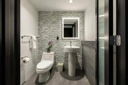 The Palms & Spa - 15