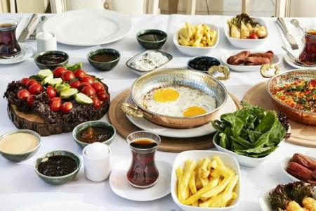 Ipek Palas - 63