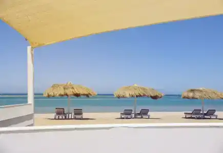 Ali Pasha - 16