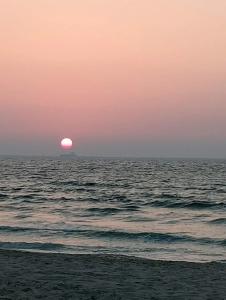 Red Castle - Managed by Aoudi Consultants - 86