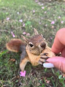 Kustur Club Holiday Village - All Inclusive - 21