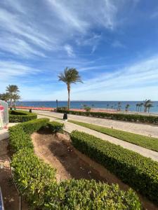 Le Méridien Dahab Resort & Spa - 4