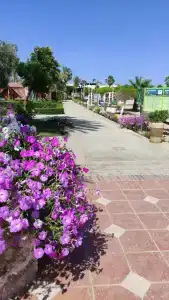 Paradise Abu Soma Resort - 6