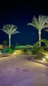 Sphinx Aqua Park Beach Resort - 97