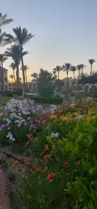 Cleopatra Luxury Resort Makadi Bay (Adults Only) - 45